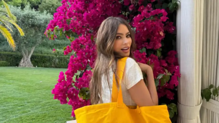 sofia vergara inst
