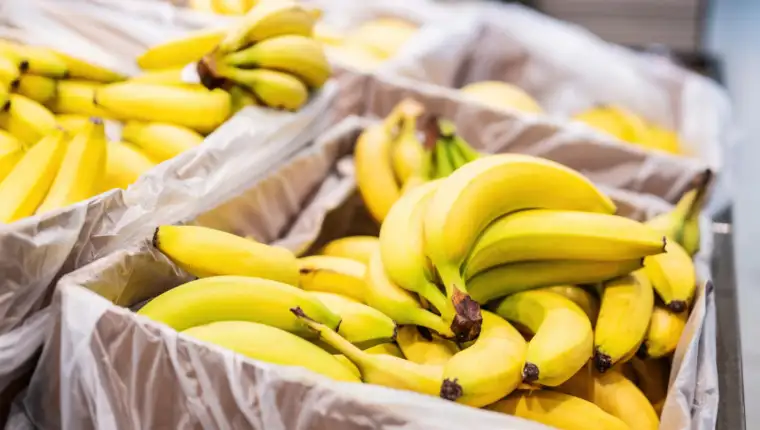 banane freepik