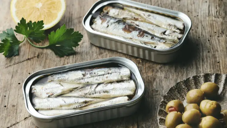 sardine freepik