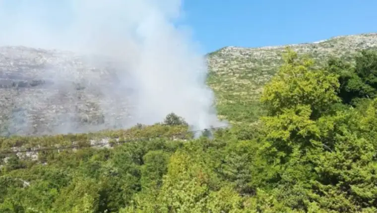 pozart trebinje q1