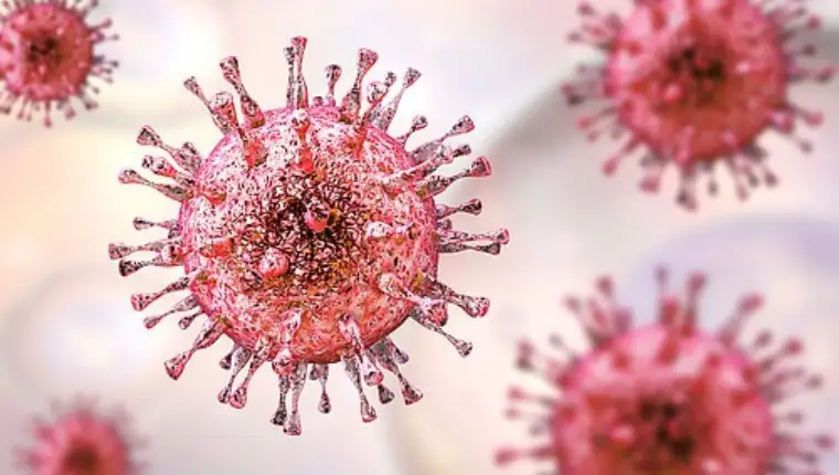 virus herpesa
