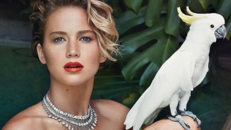 jennifer lawrence
