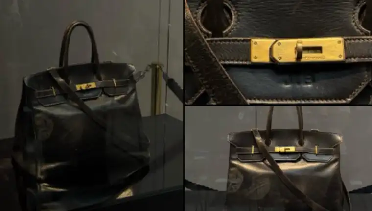 birkin x