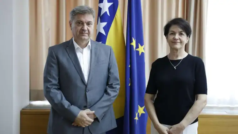 zvizdic krehic
