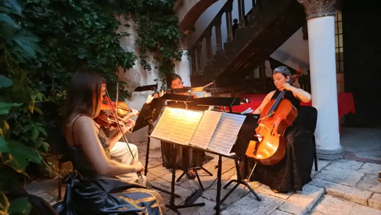 sa-sinfonietta (5)