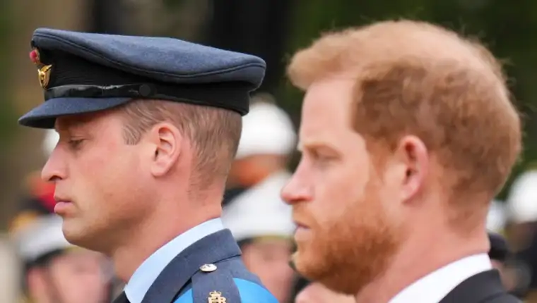 prinčevi harry i william