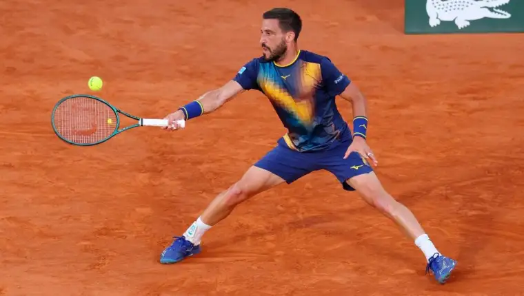 dzumhur