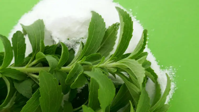 stevia freepik