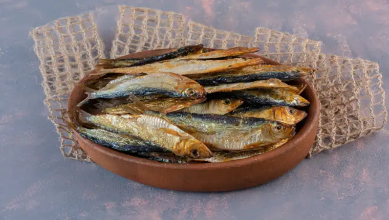 sardina freepik
