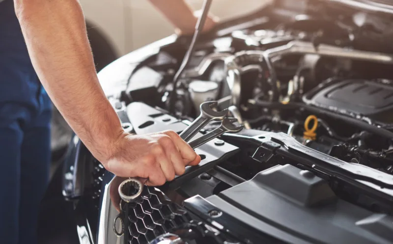 servis freepik