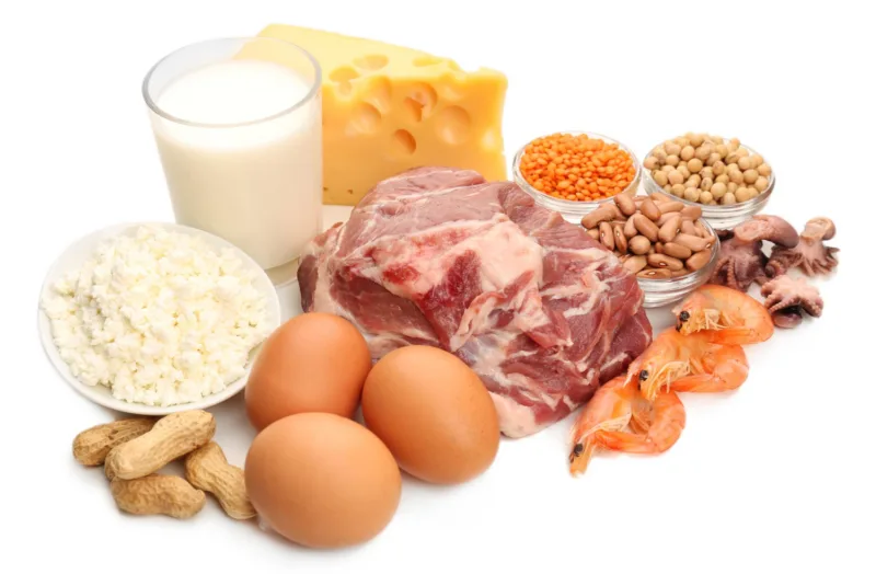 protein freepik