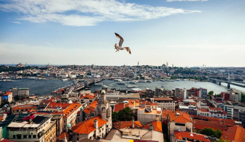istanbul freepik