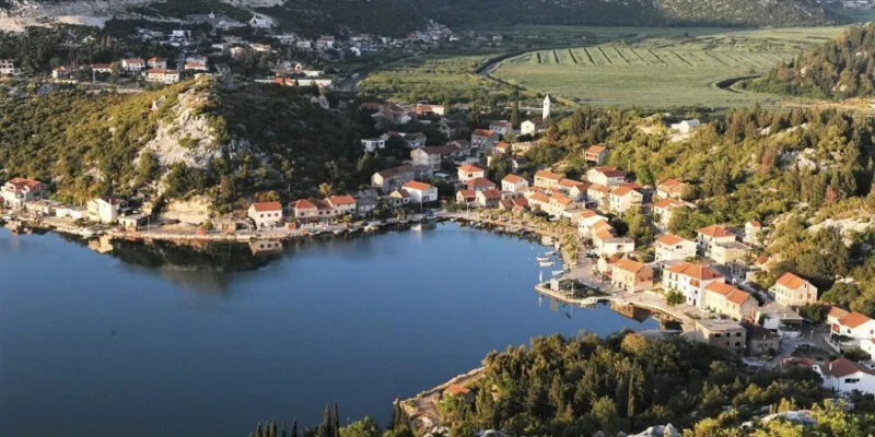 rogotin