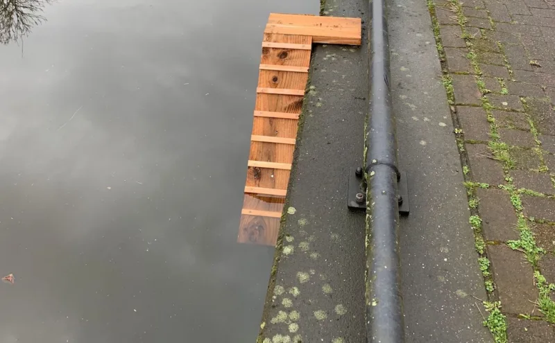 kattentrapjes