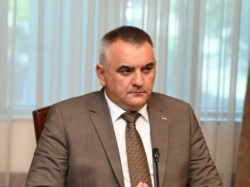 savo minic