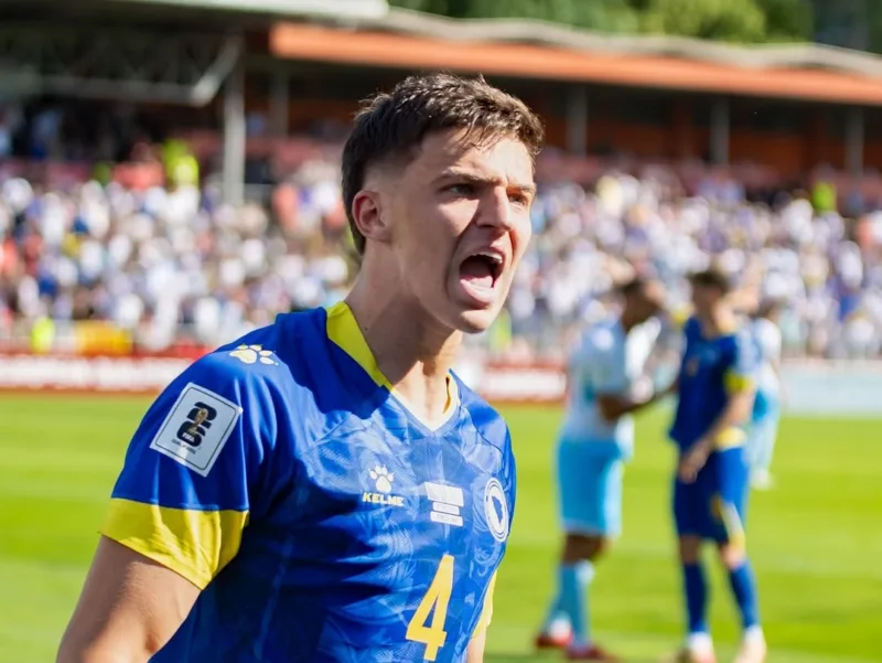 tarik muharemovic3