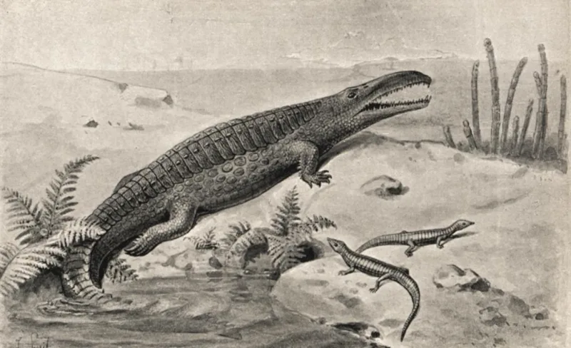 fitosaur