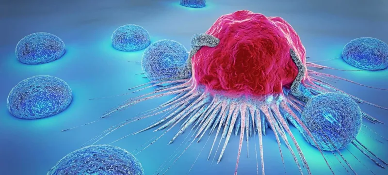 cancer-cell-lymphocyte-lg
