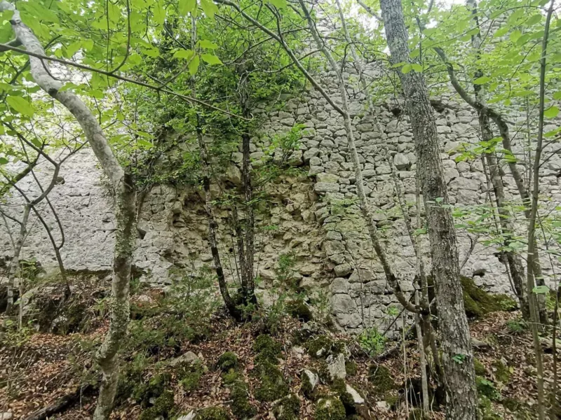 Pored vojnog stari grad bio i upravni centar