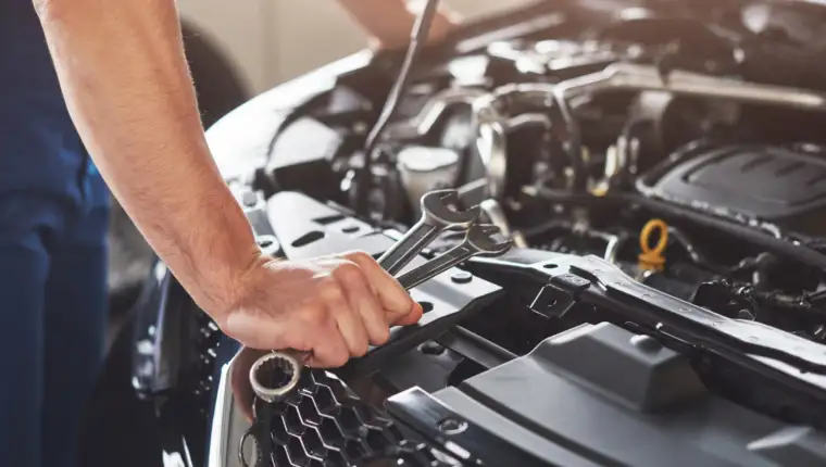 servis freepik
