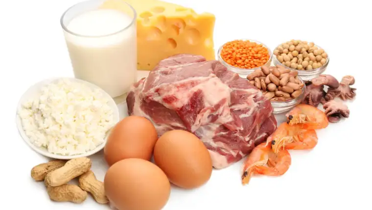protein freepik