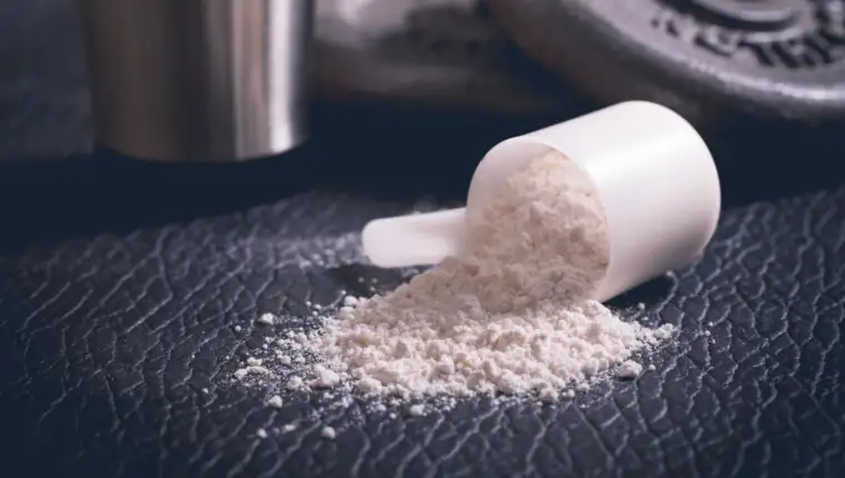 protein freepik