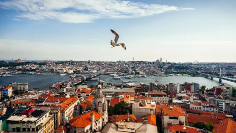 istanbul freepik