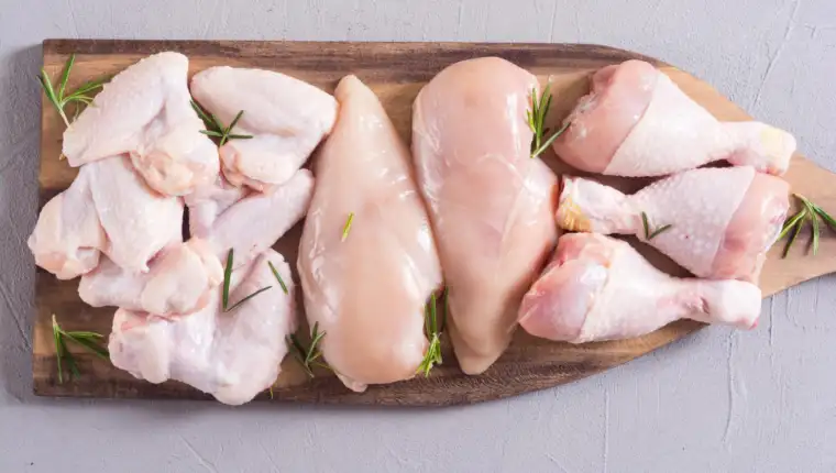 piletina freepik
