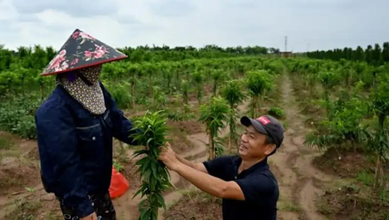 vietnam