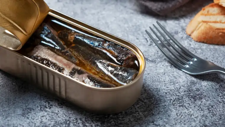 sardine freepik