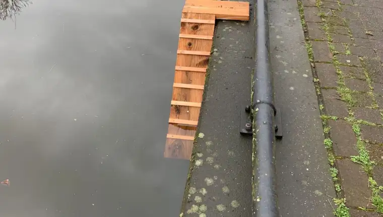 kattentrapjes