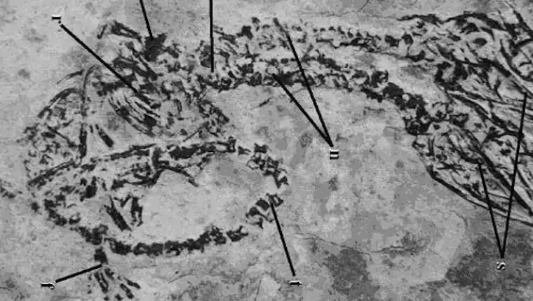 dvoglavi dinosaurus