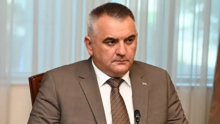 savo minic