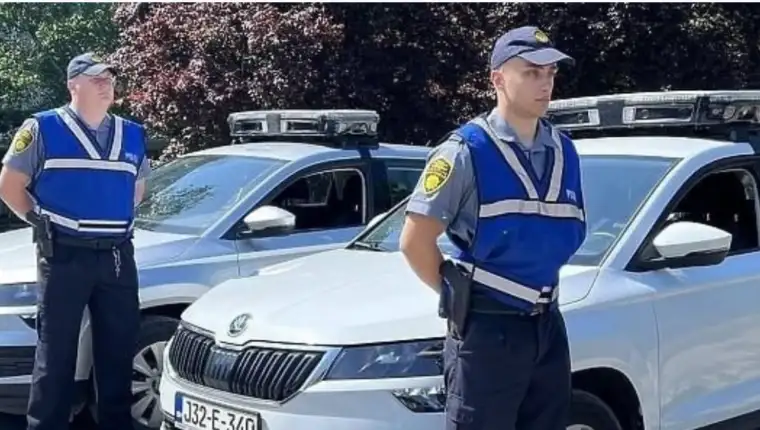 policiaj 6