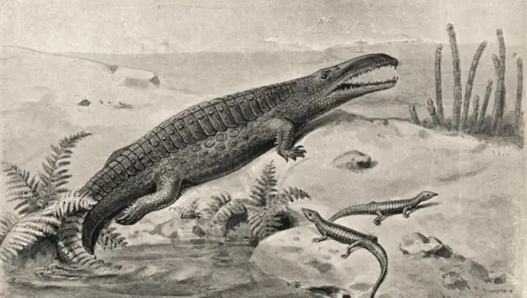 fitosaur