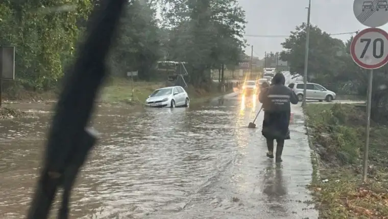 poplave