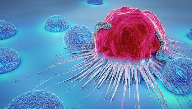 cancer-cell-lymphocyte-lg