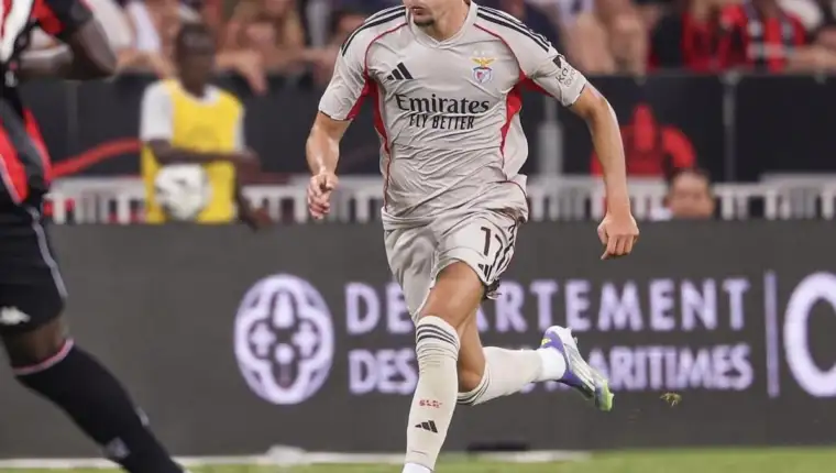 dedić
