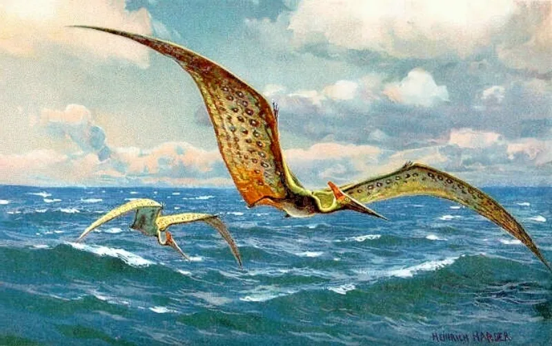 pterosauri