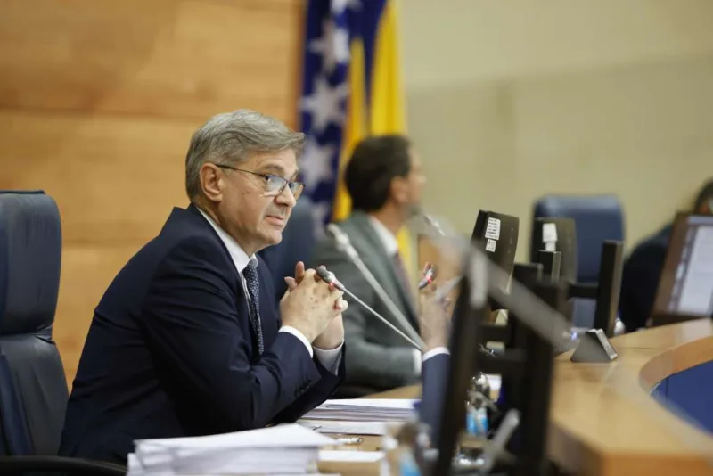denis zvizdic