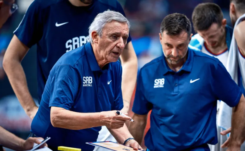 pesic-fiba-1