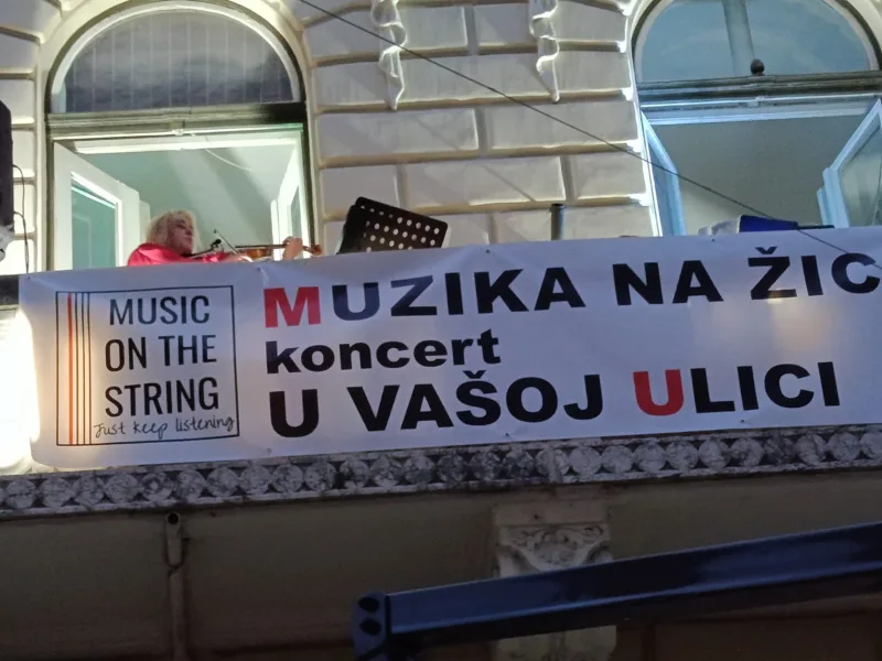 violina2