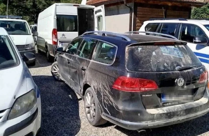 foča