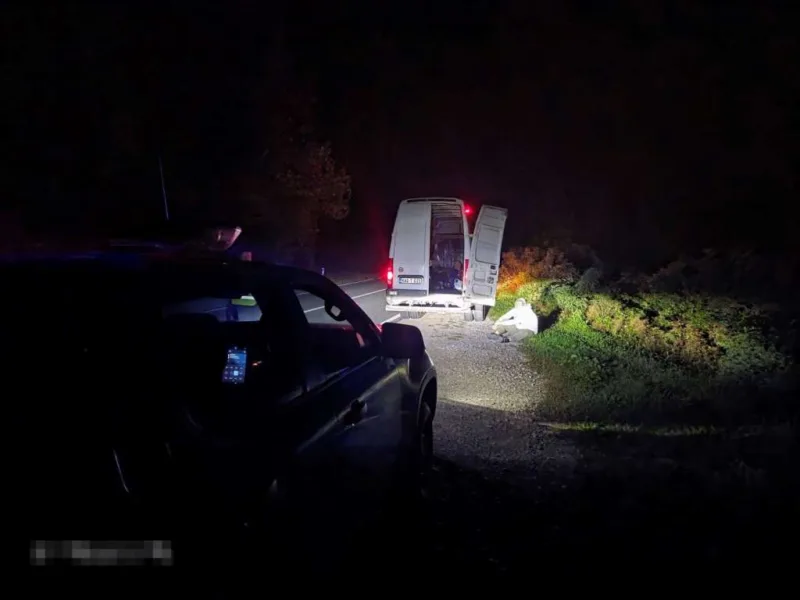 krijumcarenje