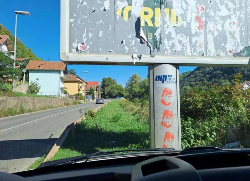 mladic