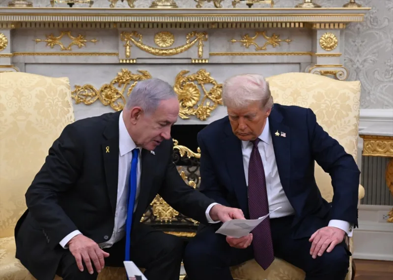 trump7