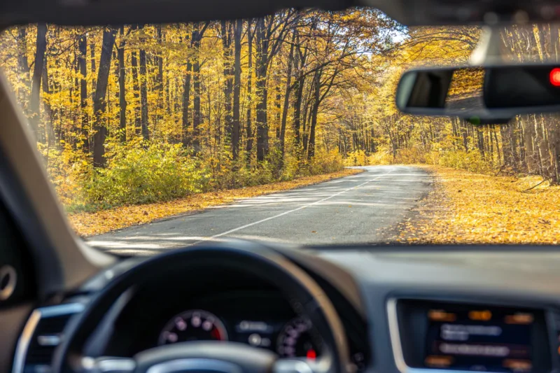 auto jesen freepik