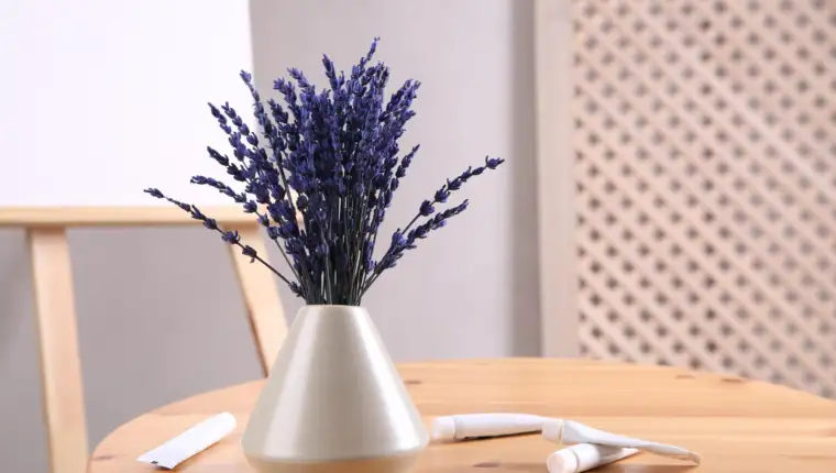 lavanda freepik