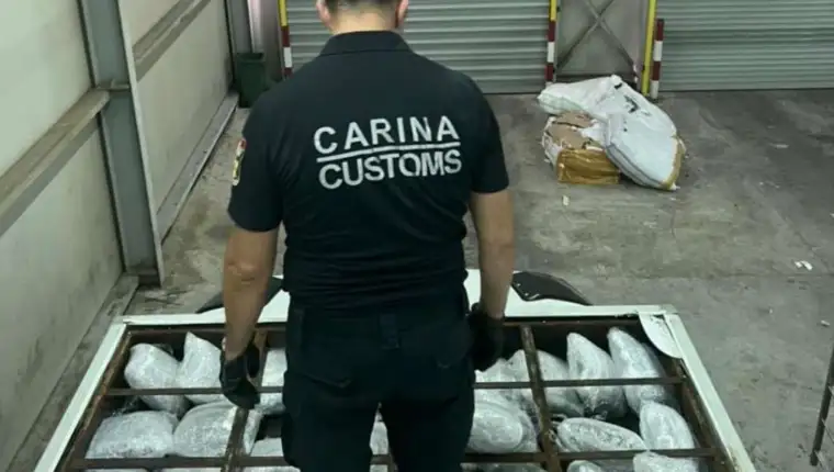 carina