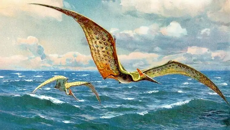 pterosauri